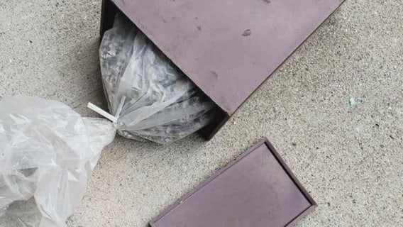 Woman finds suspected cremated remains abandoned in Midtown Detroit