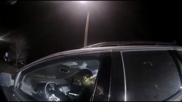 Suspected drunk driver leads Ferndale police on chase before crashing