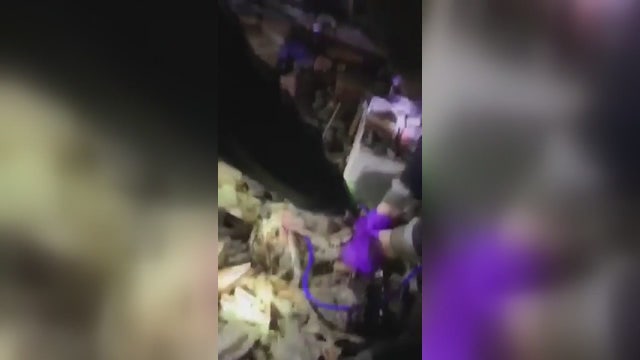 Dog rescued after home explosion on Detroit’s west side