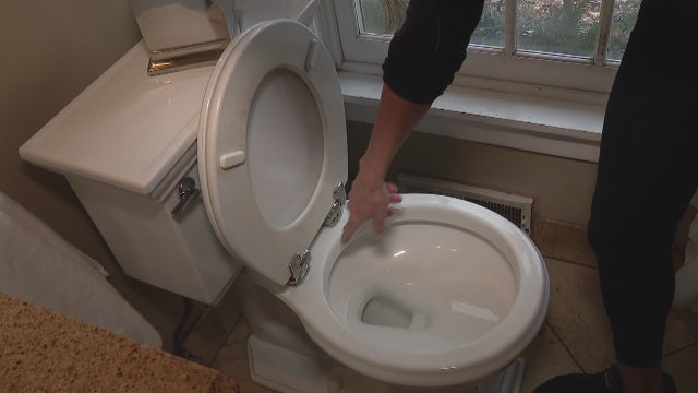 Replacing a toilet seat with Jill of All Trades
