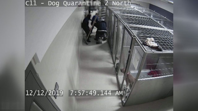 Oakland County Animal Shelter changes policies after dog bite injures shelter worker