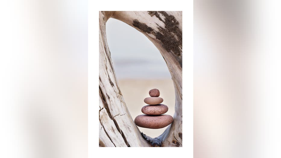 Rock Cairns on a tree.