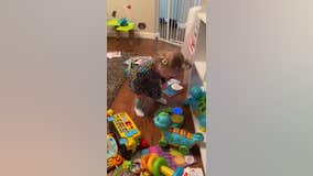 VIDEO: Michigan toddler can't stop dancing when she hears for the first time