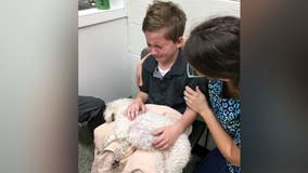 Florida boy's love for shelter dogs sheds light on foster system