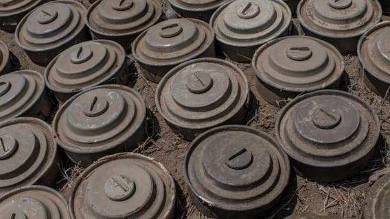 Man's novelty land mine causes state police bomb squad response