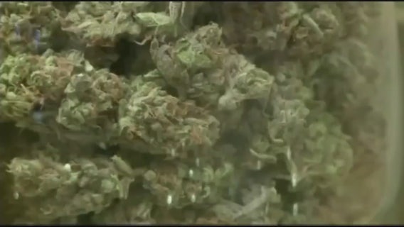 New Duggan proposal ensures half of Detroit pot shops owned by residents