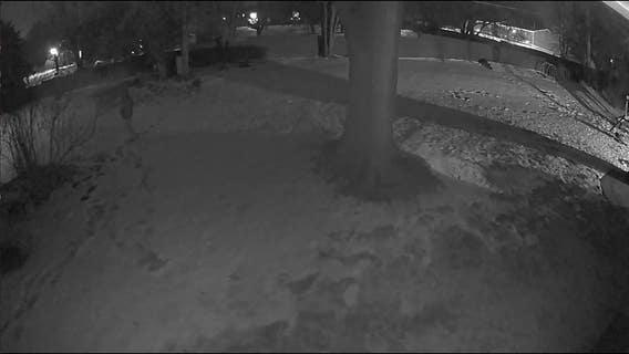 Home security footage captures peeping Tom, Bloomfield police investigating