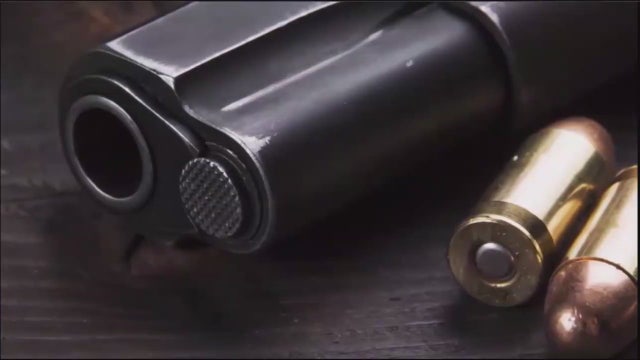 Law enforcement agencies team up to keep guns out of felons' hands