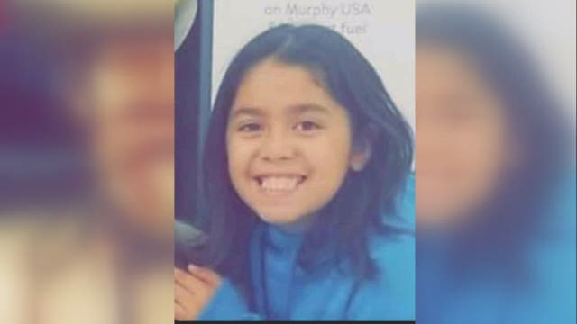 Detroit City Council unanimously passes Emma's Clause, a stricter amendment to city's dog ordinance