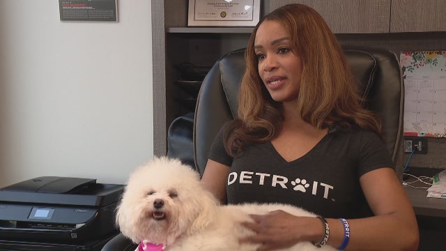 Introducing Swaggles, the pet-swag business helping animals everywhere