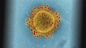 Michigan COVID-19 update: Current restrictions, mask rules, and more