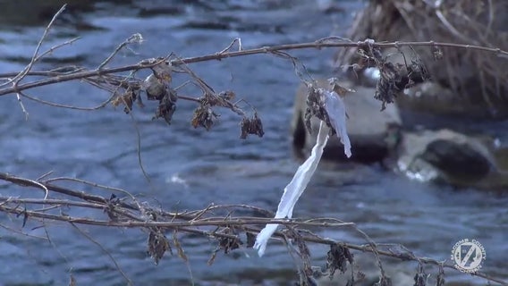 Disposable wipes wash ashore Macomb County drain and trees