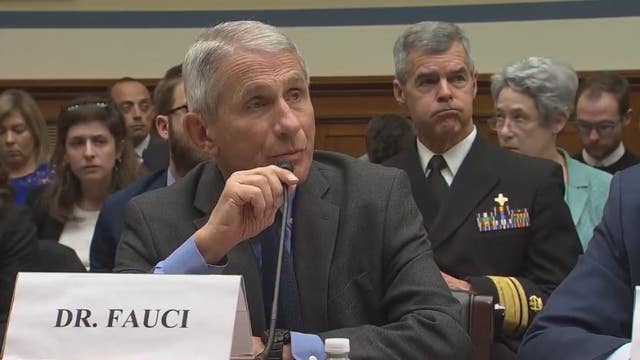 Virus testing is 'failing,' leaving cases uncounted: National Institutes of Health expert