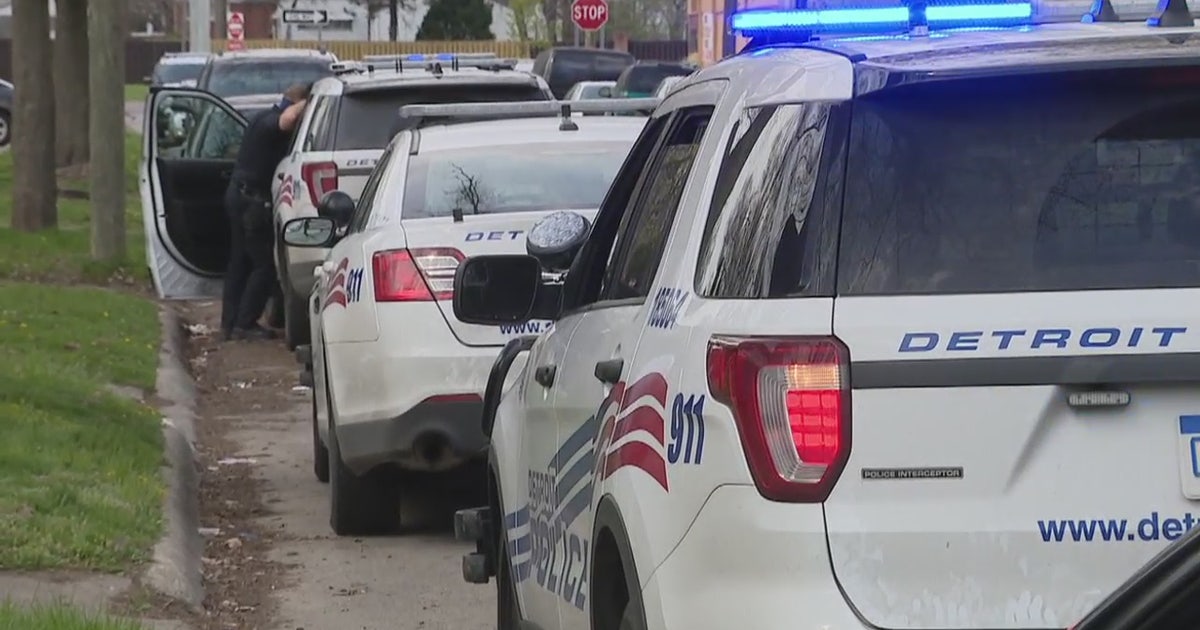 Young boy, man hurt in dog attack on Detroit's west side | FOX 2 Detroit