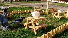 Oak Park man opens restaurant for squirrels and birds amid coronavirus pandemic