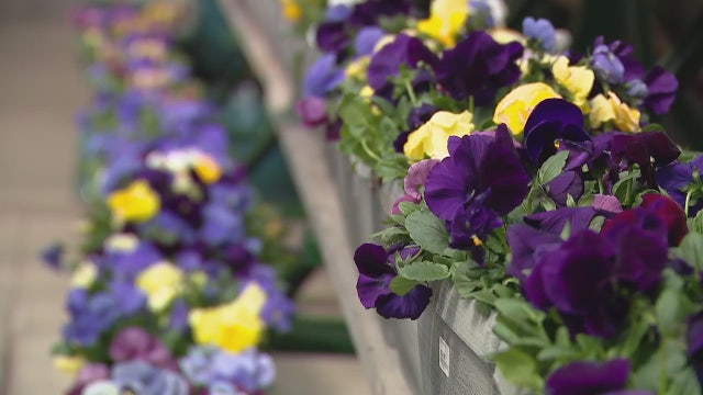 Ray Wiegand’s Nursery reopens after being forced to shut down due to COVID-19