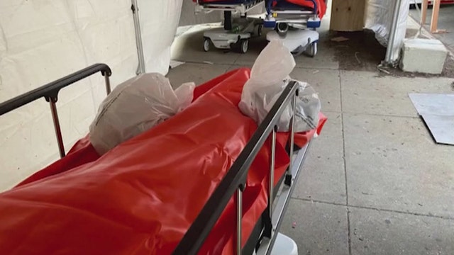 Michigan has mortuary response team ready to activate during COVID-19, if needed