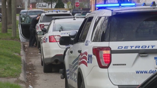 Young boy, man hurt in dog attack on Detroit's west side