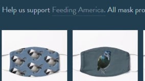 Viral bird photo booth enthusiast turns pictures into PPE masks for Feeding America