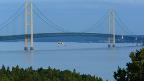 Gov. Gretchen Whitmer says businesses in UP, parts of lower Michigan can reopen amid falling COVID-19 cases