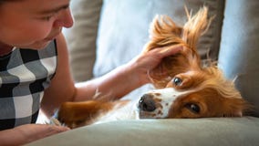 Mark your calendar: National Dog Mom's Day is May 9