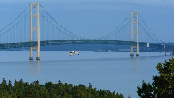 Gov. Gretchen Whitmer says businesses in UP, parts of lower Michigan can reopen amid falling COVID-19 cases