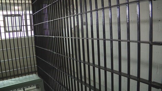 Drug kingpin pleads guilty after PlayStation box leads feds to 65+ pounds of fentanyl, $500K at Novi home