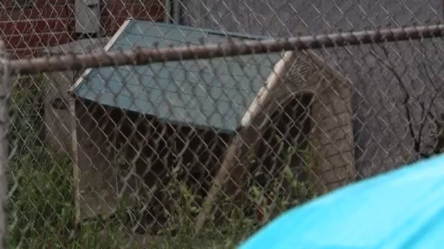 Pit bull bites toddler, injures pregnant woman after going over fence on Detroit's east side