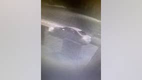 Have you seen this car? Police searching for vehicle possibly involved in Redford homicide