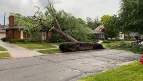 Storms slice through east side leaving trail of damage in Detroit, Grosse Pointe