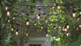 How to put landscape lighting in your trees