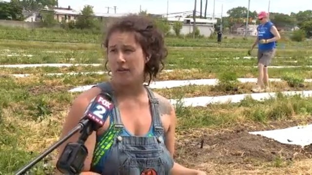 Detroit's Pingree Farms needs volunteers, donations after coronavirus crisis cancels goat yoga