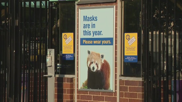 With capacity limits and hand sanitizer stations, Detroit Zoo reopens to members Monday