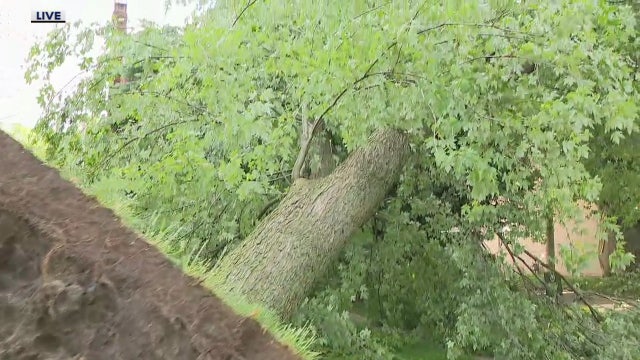 Power still out for over 250K after Wednesday storms, full restoration not expected until Saturday