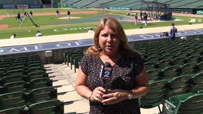 Tigers open Summer Training at Comerica Park