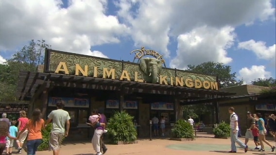 Disney World animals to star in new Disney+ TV show