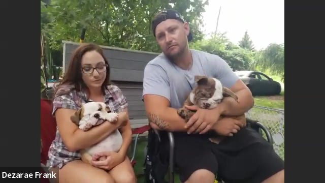 Michigan breeders reunited with puppies they say were stolen at gunpoint outside 12 Oaks Mall