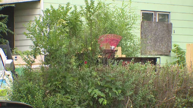 Landscaper found dead in Detroit backyard believed to have been stung