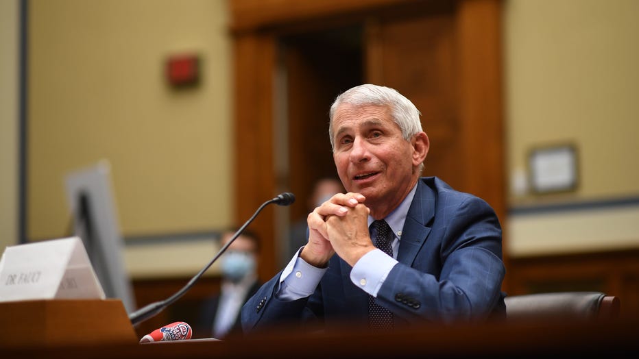 'I don't judge one crowd vs. another': Fauci clashes with GOP lawmaker over protests during coronavirus - FOX 2 Detroit