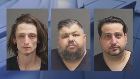 3 arrested as ketamine, cocaine and arctic foxes seized in Pontiac raids