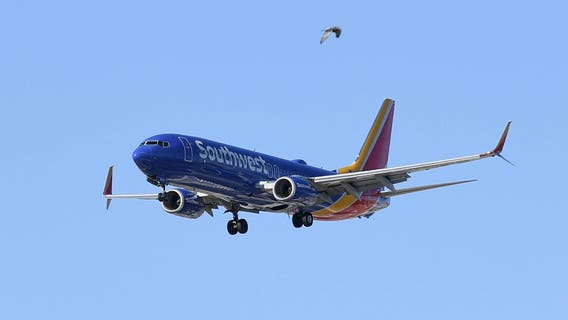 Southwest Airlines no longer cleaning armrests, seat belts between flights