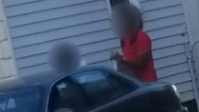 Eastpointe police pursue misdemeanor charges in alleged puppy abuse video