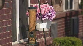 Oakland County man installs bird feeders for seniors during COVID-19 pandemic