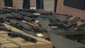 Warren police task force operation rounds up dozens of suspects, guns and drugs