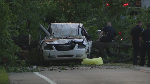 Man killed when tree falls on car in White Lake