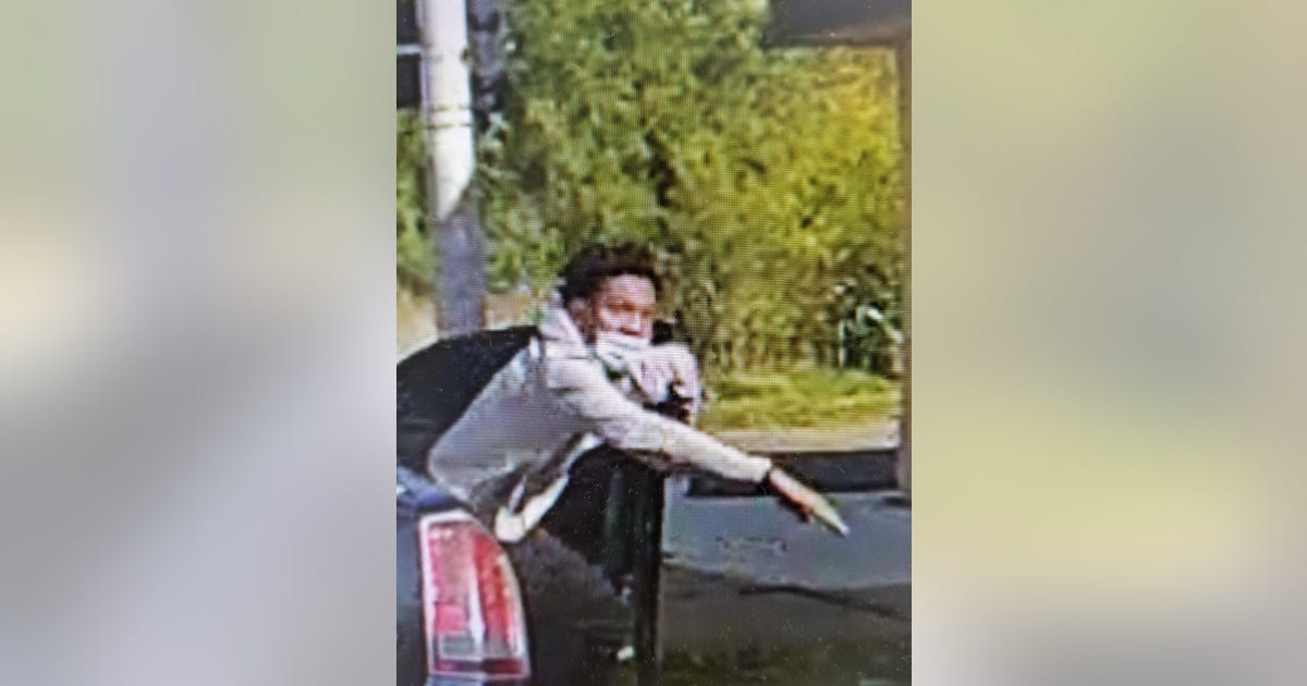 UPDATE: Police arrest man who fired multiple shots at officers | FOX 2 ...