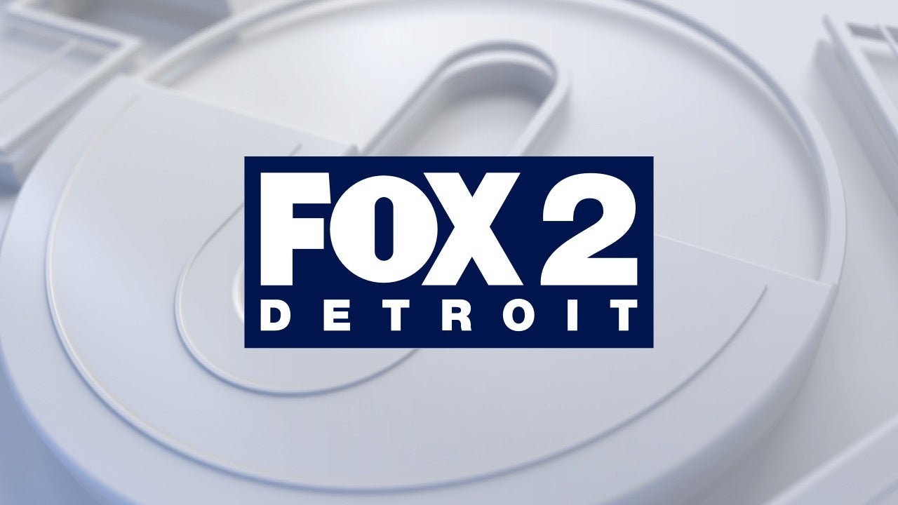 Watch fox 2 hot sale news live