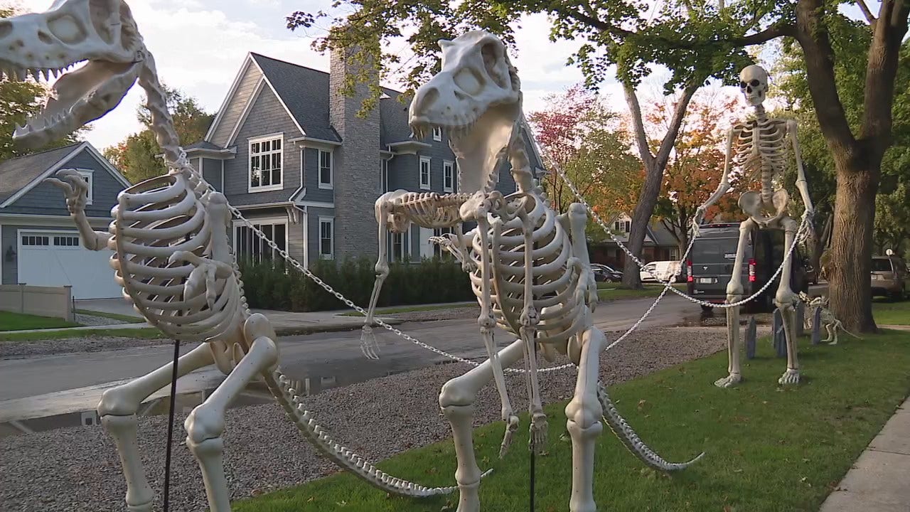 Giant T-Rex Skeleton Halloween Decoration: The Ultimate Guide