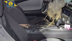 Man crashes truck on I-96, walks onto overpass and throws sandbags at other cars, police say