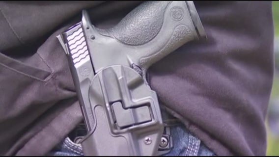 Some Michigan sheriffs won't enforce open carry ban at election polls